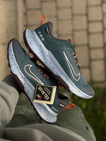 Nike Juniper Trail 2 GTX HM9734-300 фото