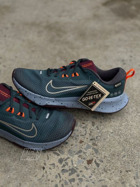 Nike Juniper Trail 2 GTX HM9734-300 фото